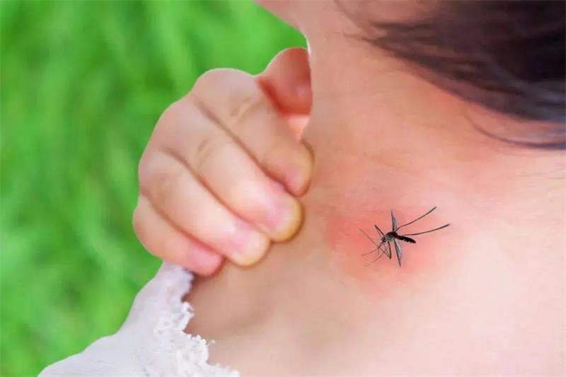 夏天宝宝被蚊虫叮咬怎么办？