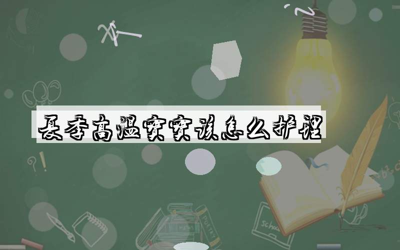 夏季高温宝宝该怎么护理