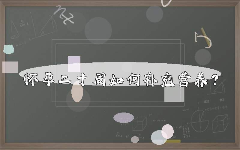 怀孕二十周如何补充营养？