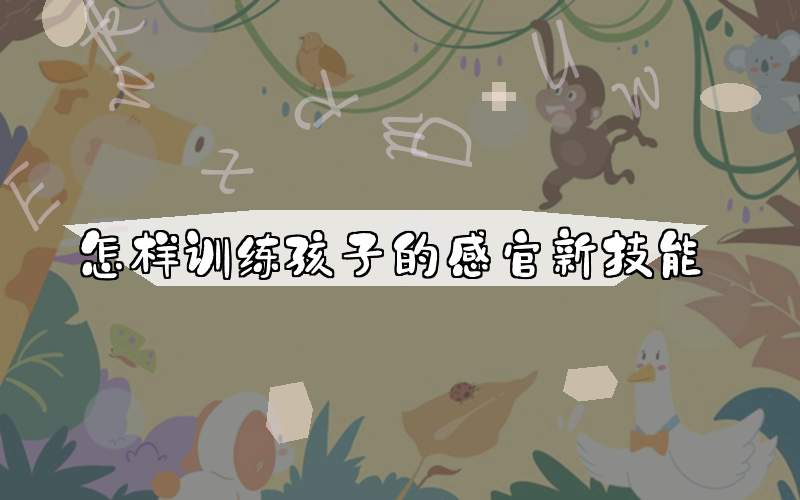 怎样训练孩子的感官新技能